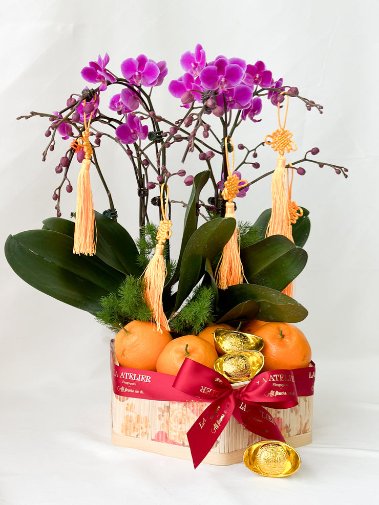 LA ATELIER SINGAPORE PTE LTD | Harmony Orchid Citrus Blessing