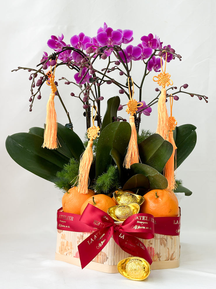 LA ATELIER SINGAPORE PTE LTD | Harmony Orchid Citrus Blessing