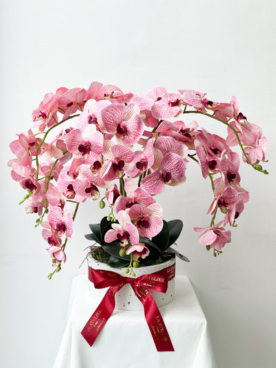 LA ATELIER SINGAPORE PTE LTD | Terrazzo Pink Stripe Phalaenopsis Orchid Ensemble