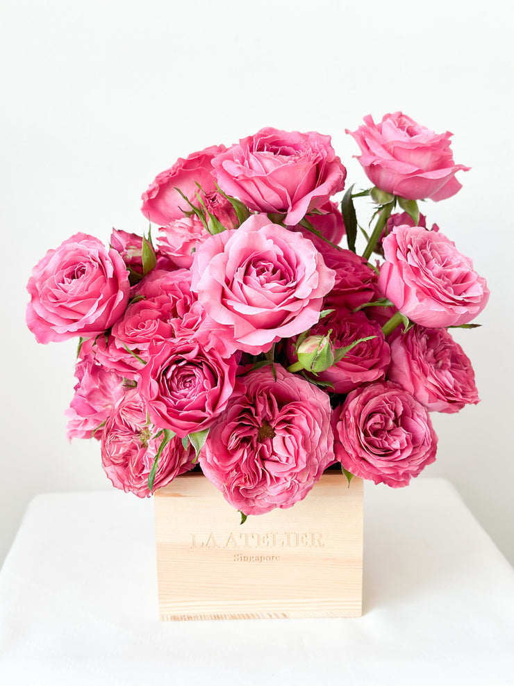 LA ATELIER SINGAPORE PTE LTD | Fuchsia Rhapsody
