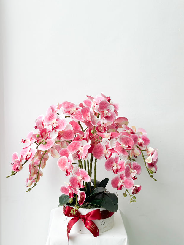 LA ATELIER SINGAPORE PTE LTD | Terrazzo Pink Veins Phalaenopsis Orchid Ensemble