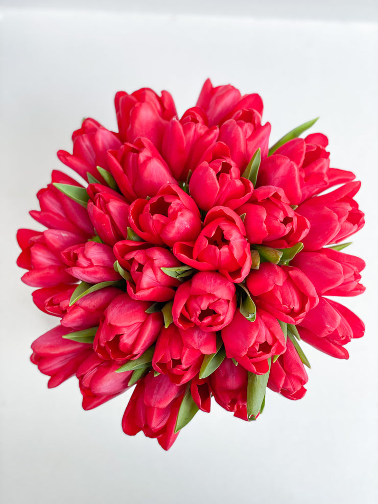 LA ATELIER SINGAPORE PTE LTD | Timeless Rouge Passion Tulips
